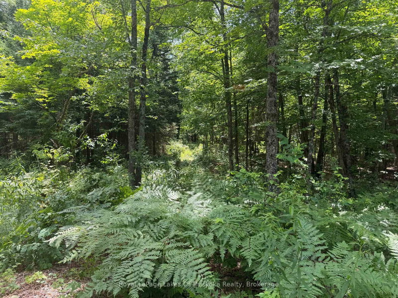 0 Axe Lake Road