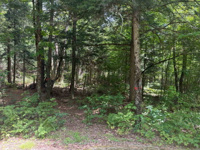 0 Axe Lake Road • McMurrich/Monteith, ON photo 4