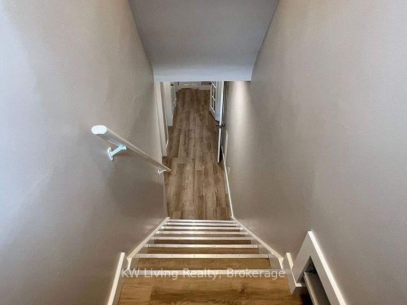 Basement - 43 Else Street