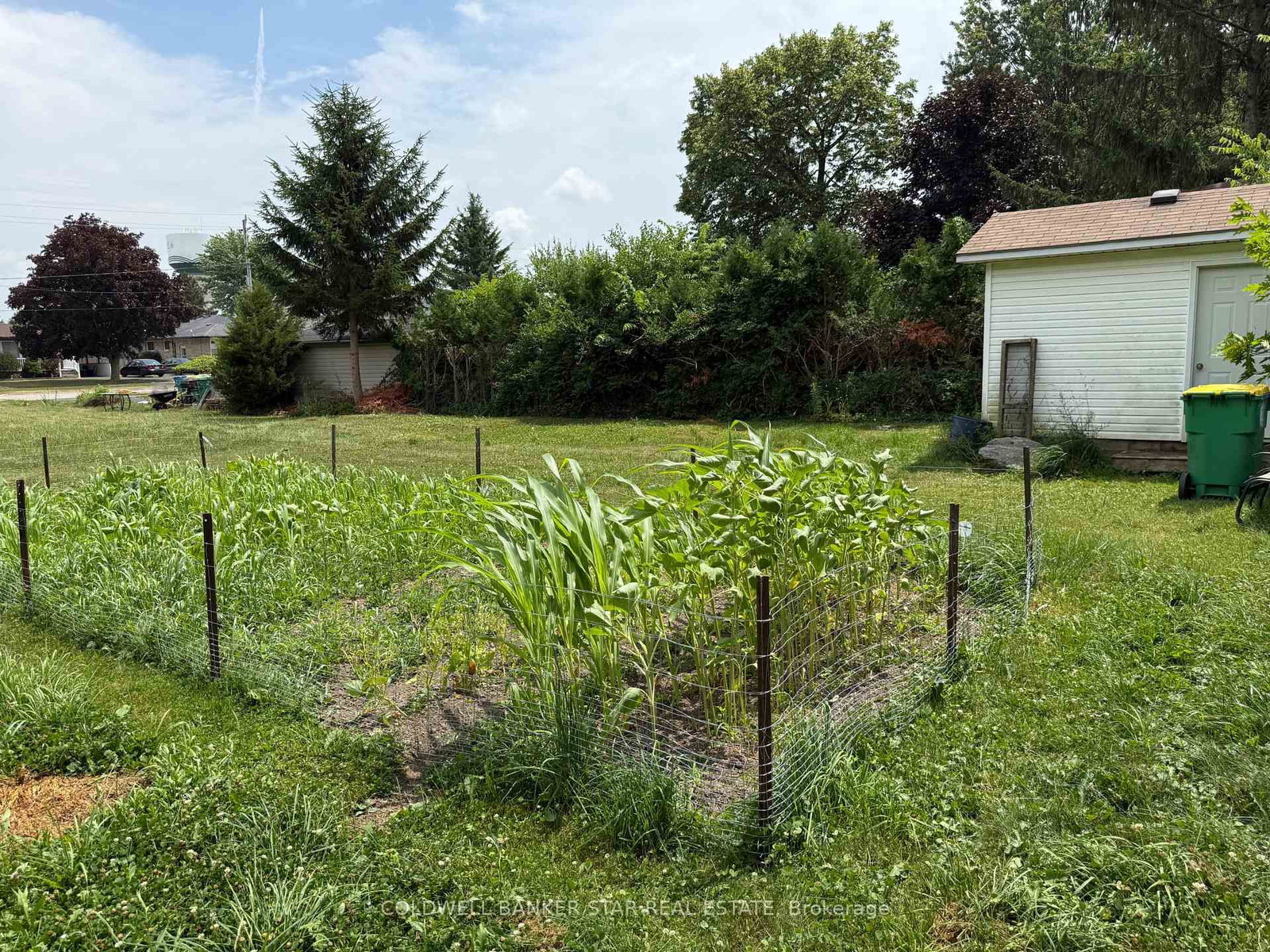 112 VICTORIA Street • Southwest Middlesex, ON photo 6