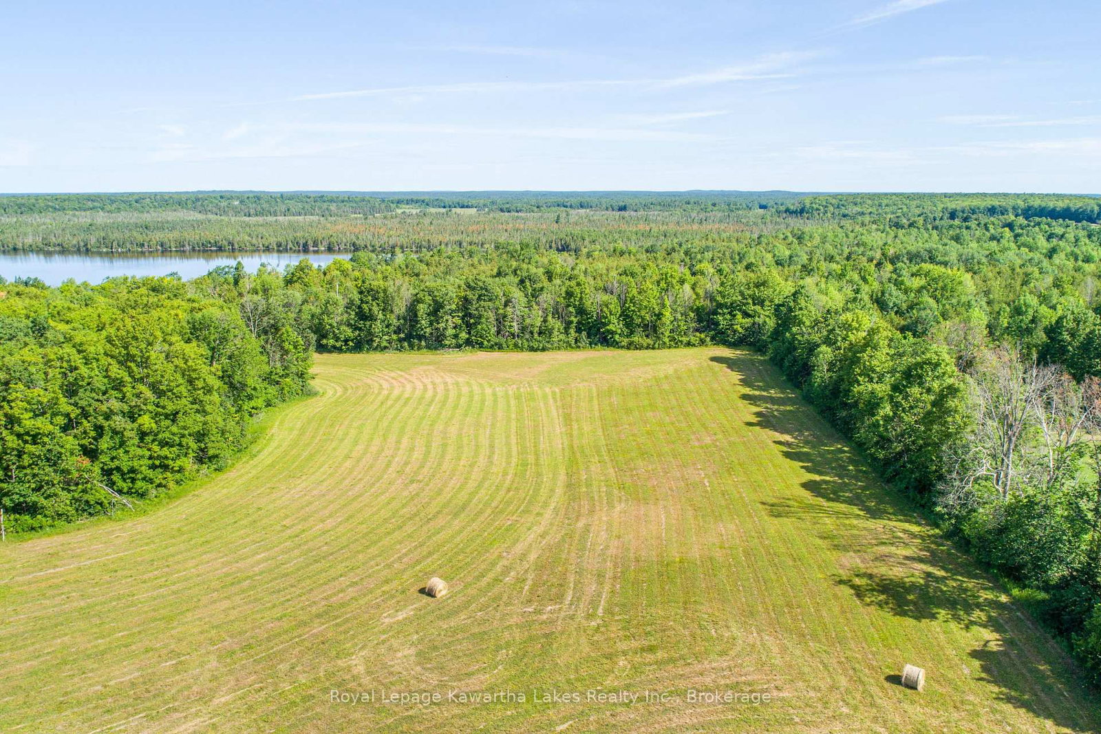 164 Sugar Bush Road • Kawartha Lakes, ON photo 16