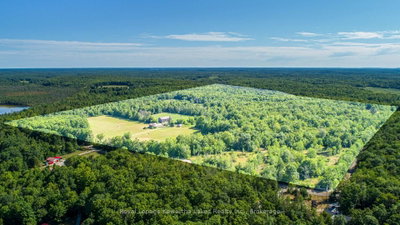 164 Sugar Bush Road • Kawartha Lakes, ON photo 2