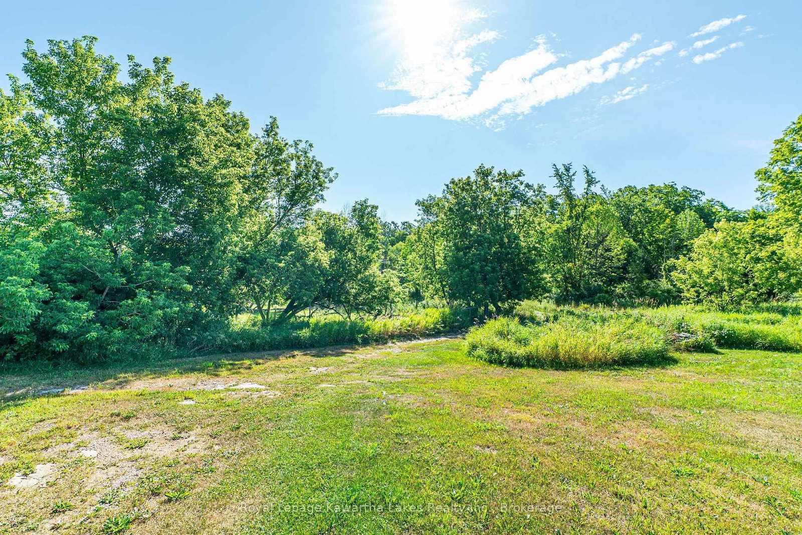 164 Sugar Bush Road • Kawartha Lakes, ON photo 22
