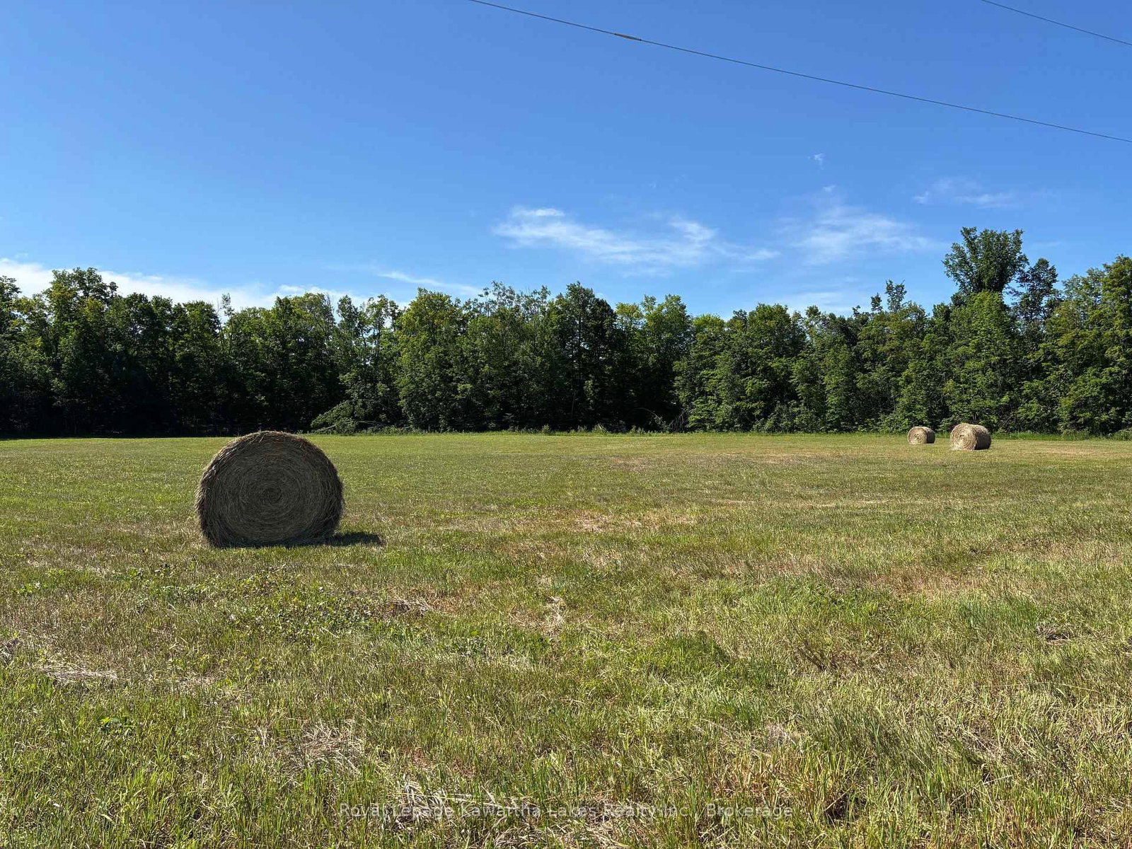 164 Sugar Bush Road • Kawartha Lakes, ON photo 24