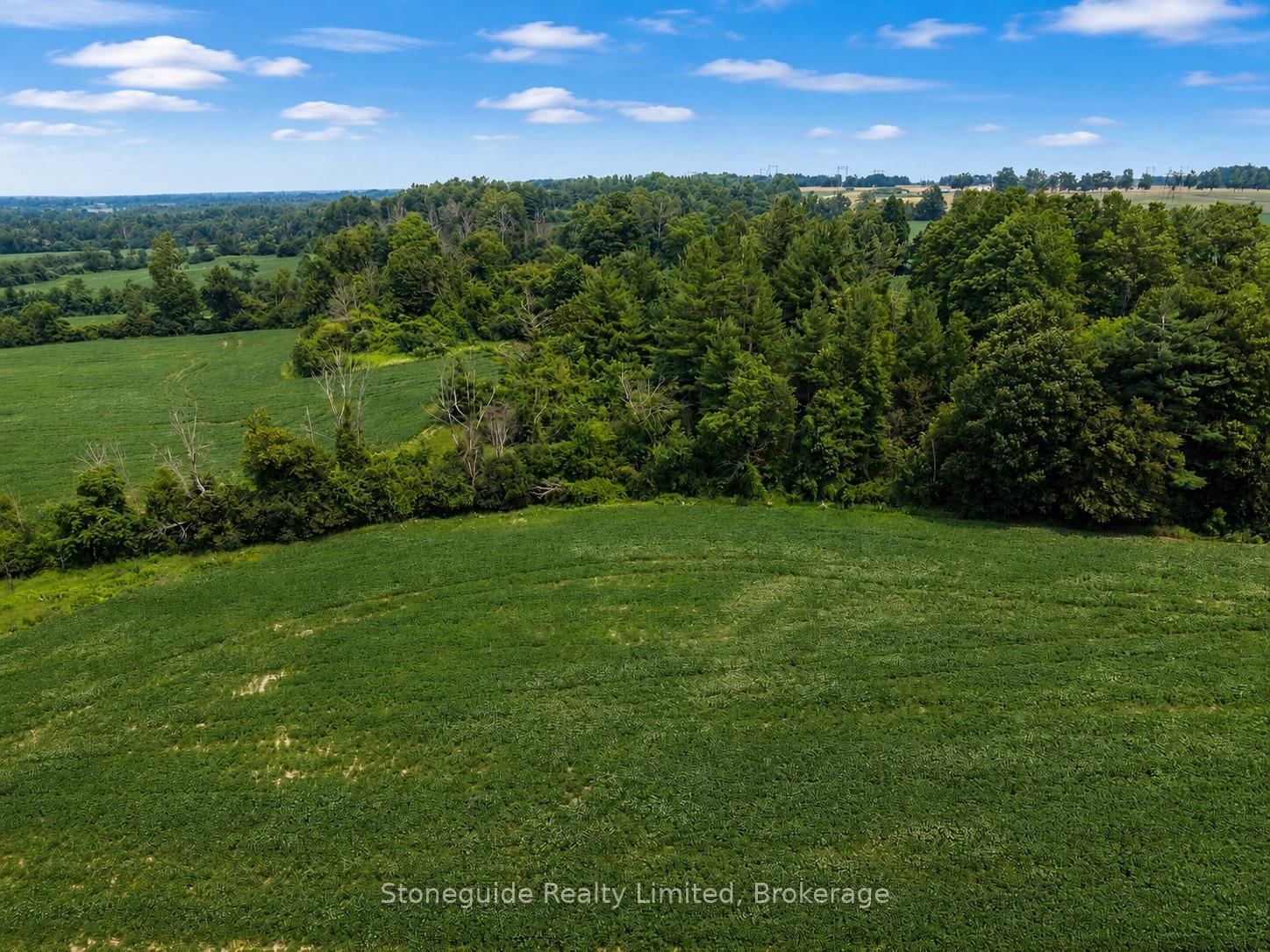 00 County Rd 10 Road • Cavan Monaghan, ON photo 8