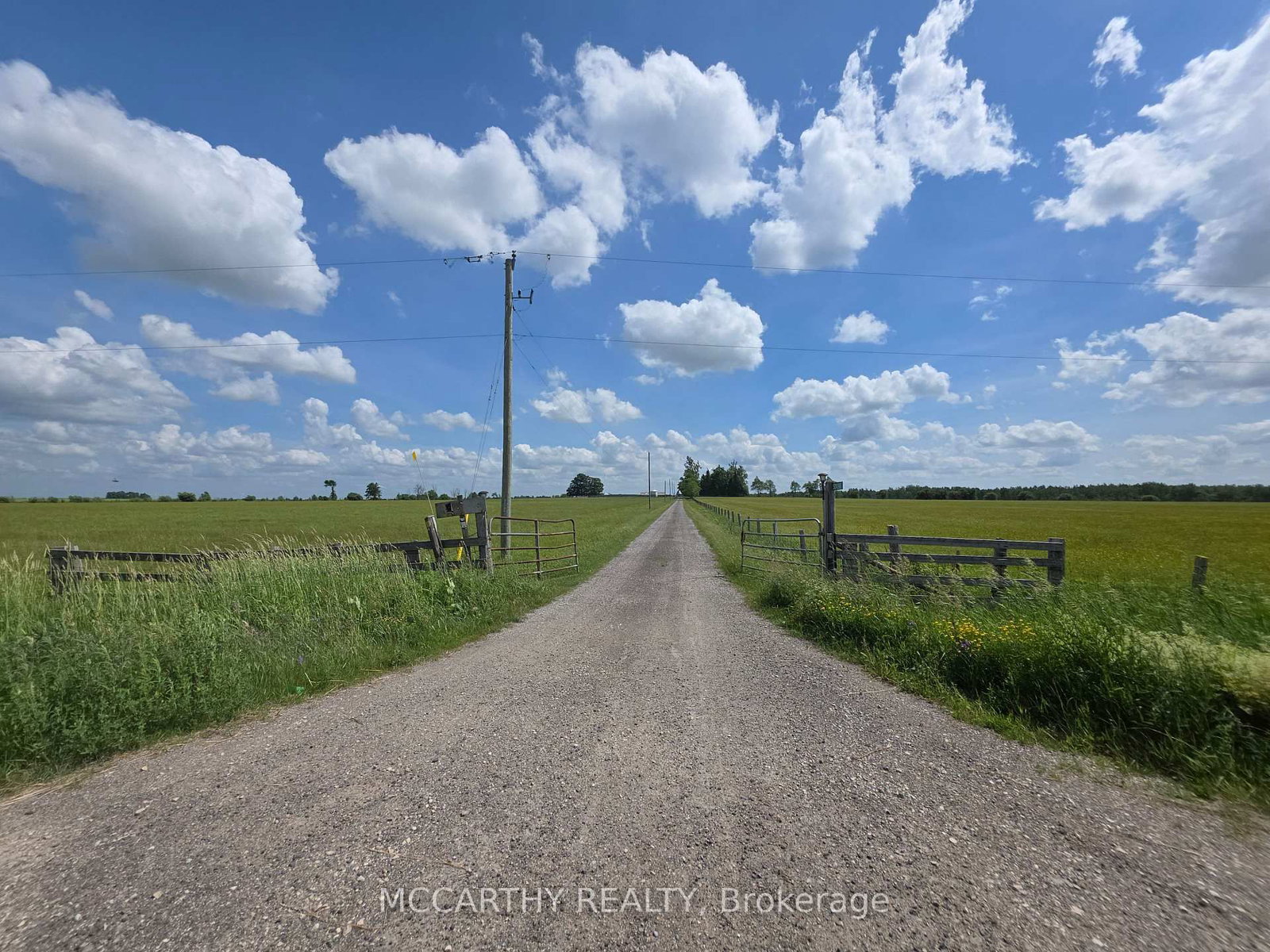 501098 Hwy # 89 • Southgate, ON photo 25
