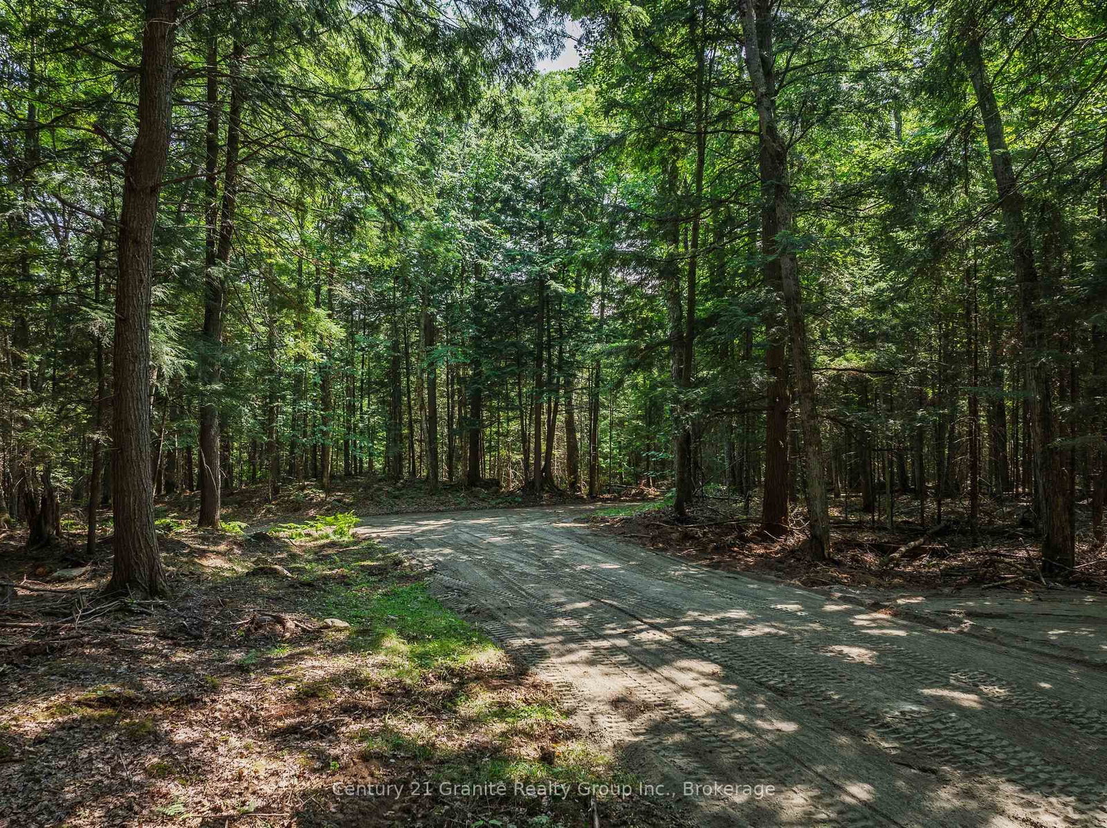 0 Soyers Lake Road • Dysart et al, ON photo 11