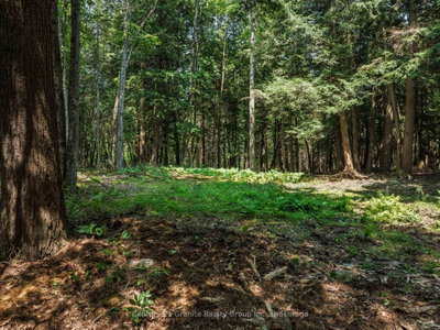 0 Soyers Lake Road • Dysart et al, ON photo 6