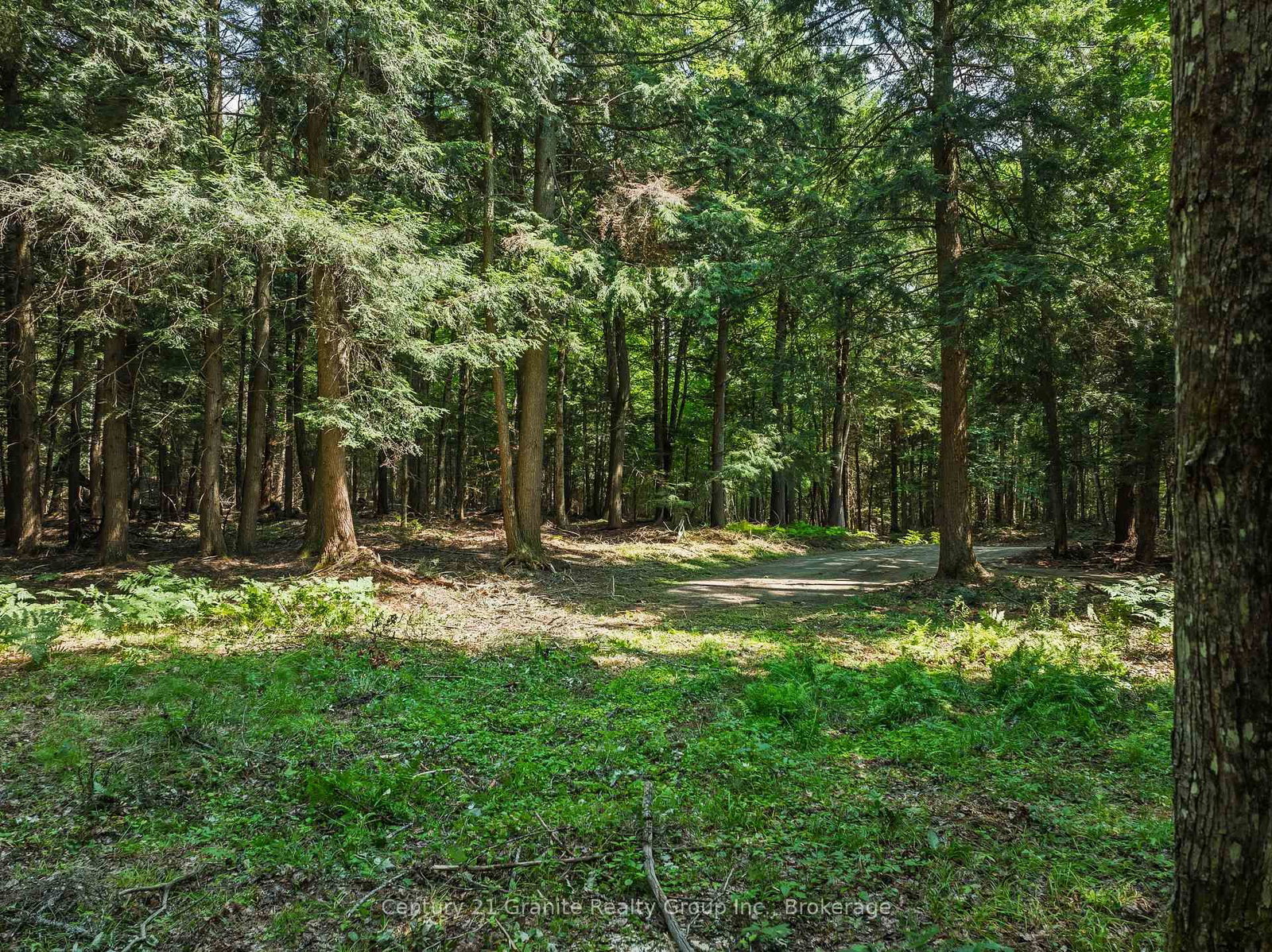 0 Soyers Lake Road • Dysart et al, ON photo 9