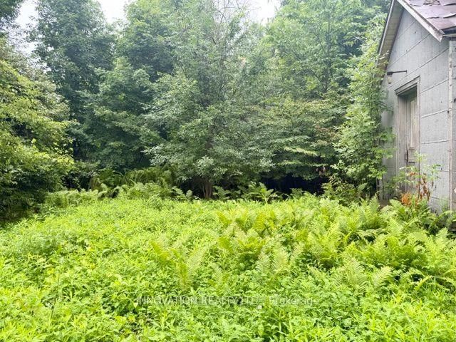 3109 County Road 15 Road • The Nation, ON photo 6