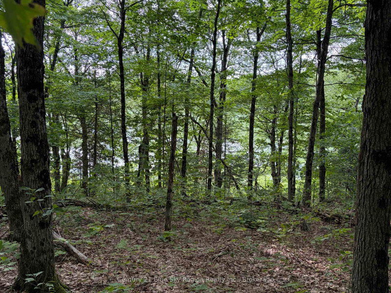 Part Lot 11 & 1 Chikopi Road