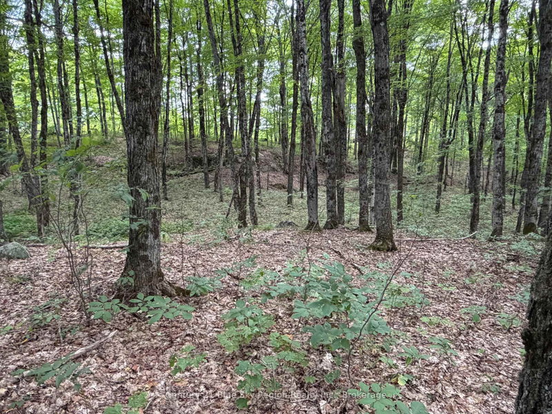 Part Lot 11 & 1 Chikopi Road
