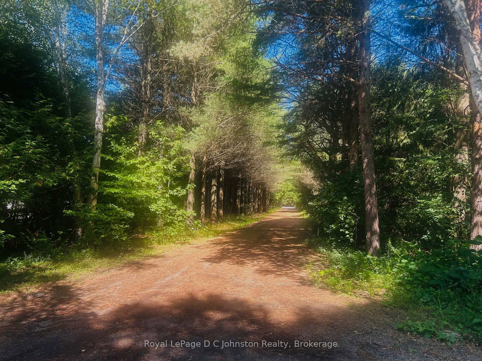 300 Carlisle Street • Saugeen Shores, ON photo 24