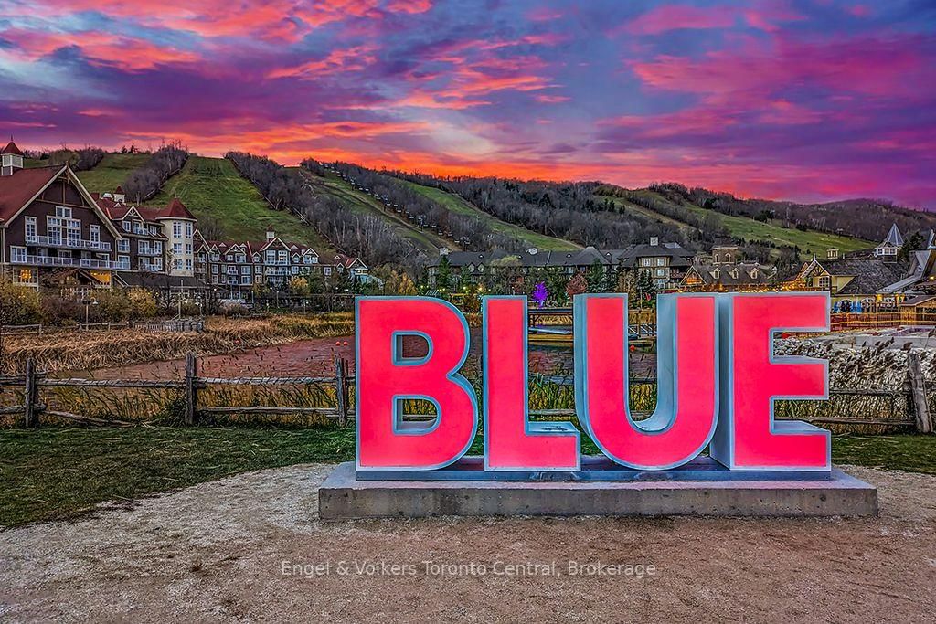 190 Jozo Weider Boulevard • #259 • Blue Mountains, ON photo 21