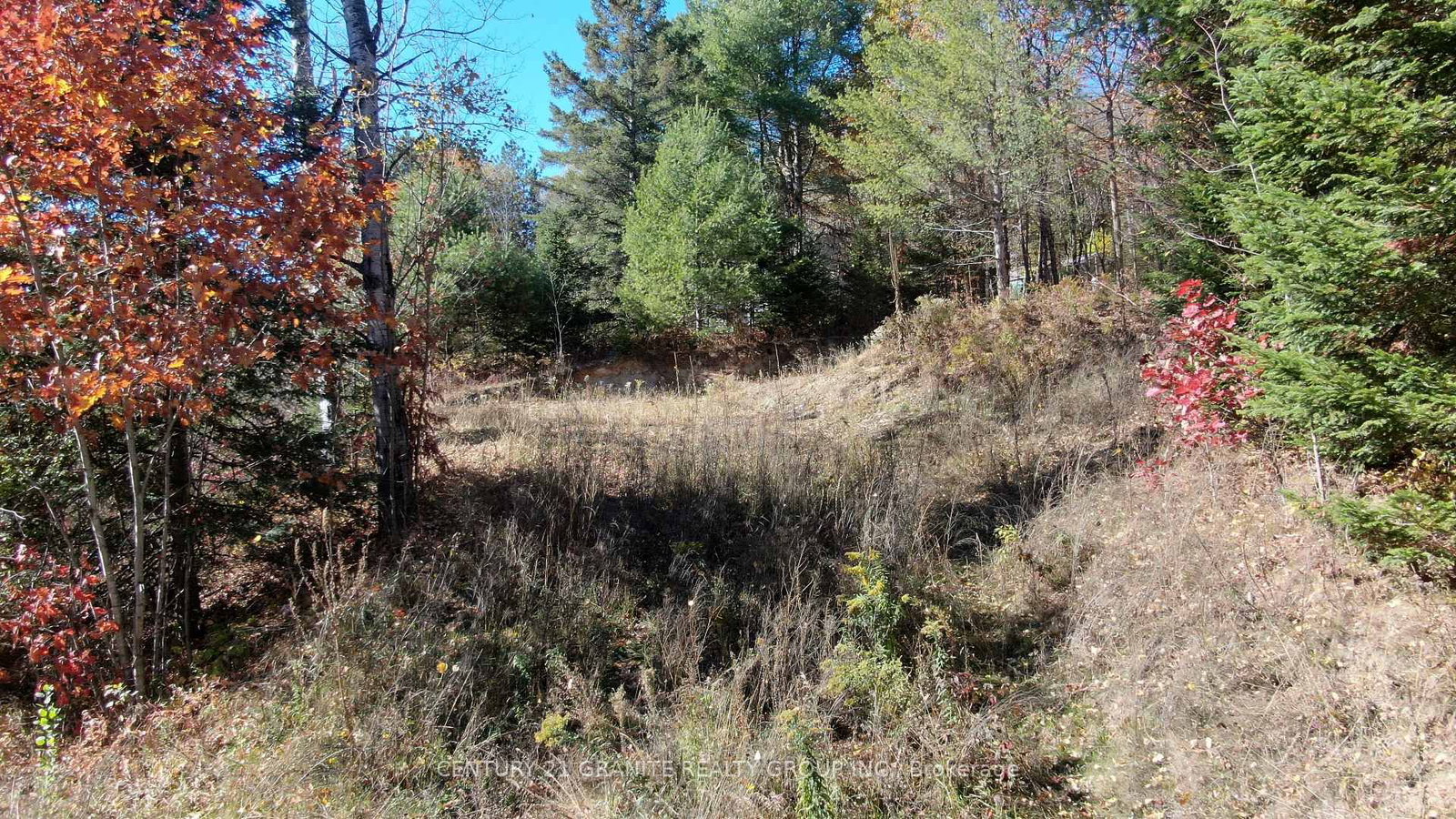 178 Gaebel Road • Bancroft, ON photo 17