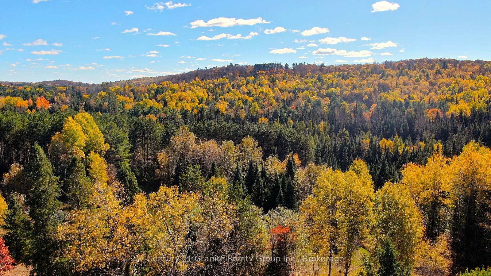 178 Gaebel Road • Bancroft, ON photo 28