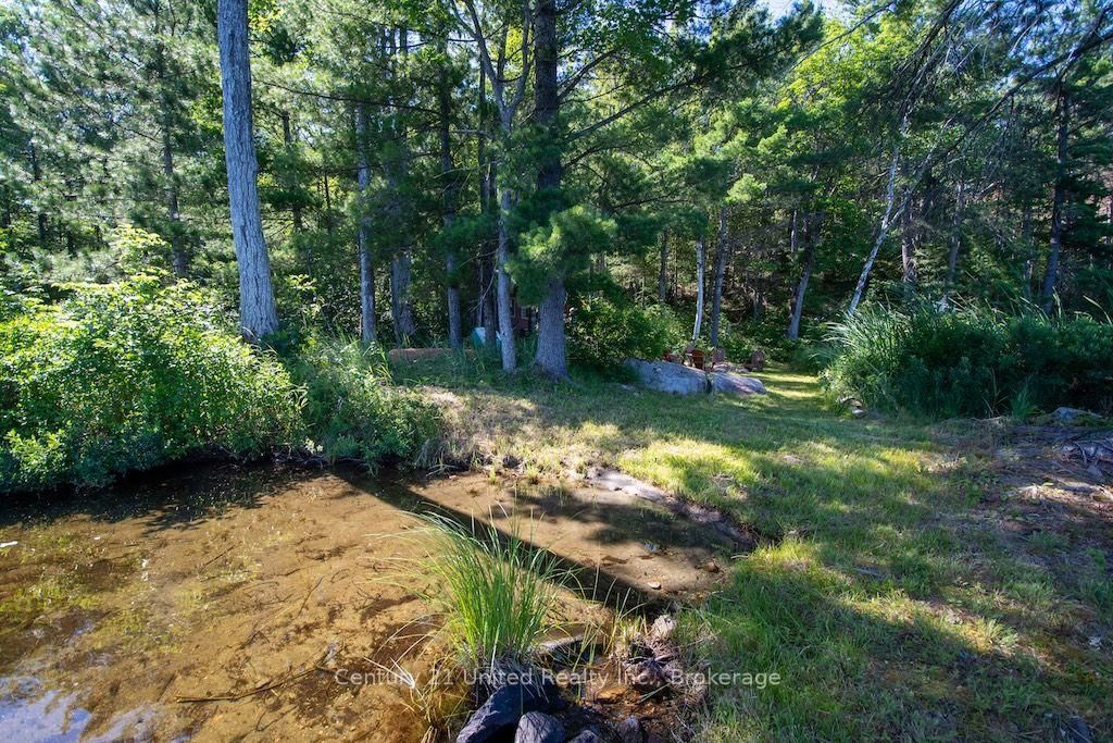174 Fire Route 55 • North Kawartha, ON photo 35