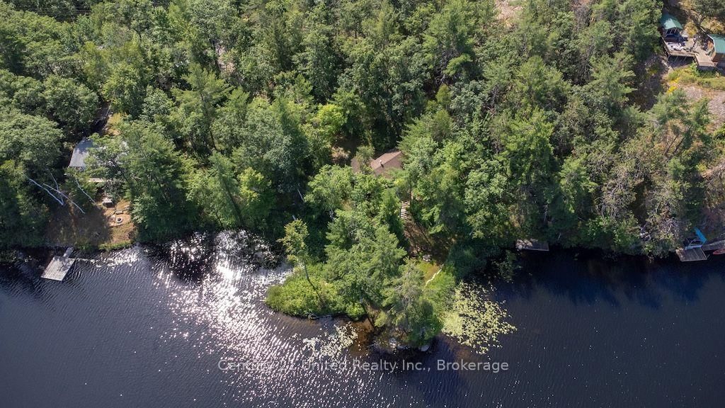 174 Fire Route 55 • North Kawartha, ON photo 43