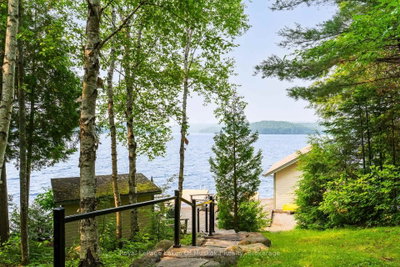 1507 Old Hwy 117 Road • Lake of Bays, ON photo 6