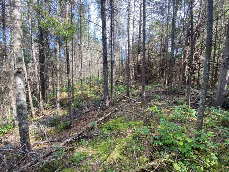 0 Municipal Road N