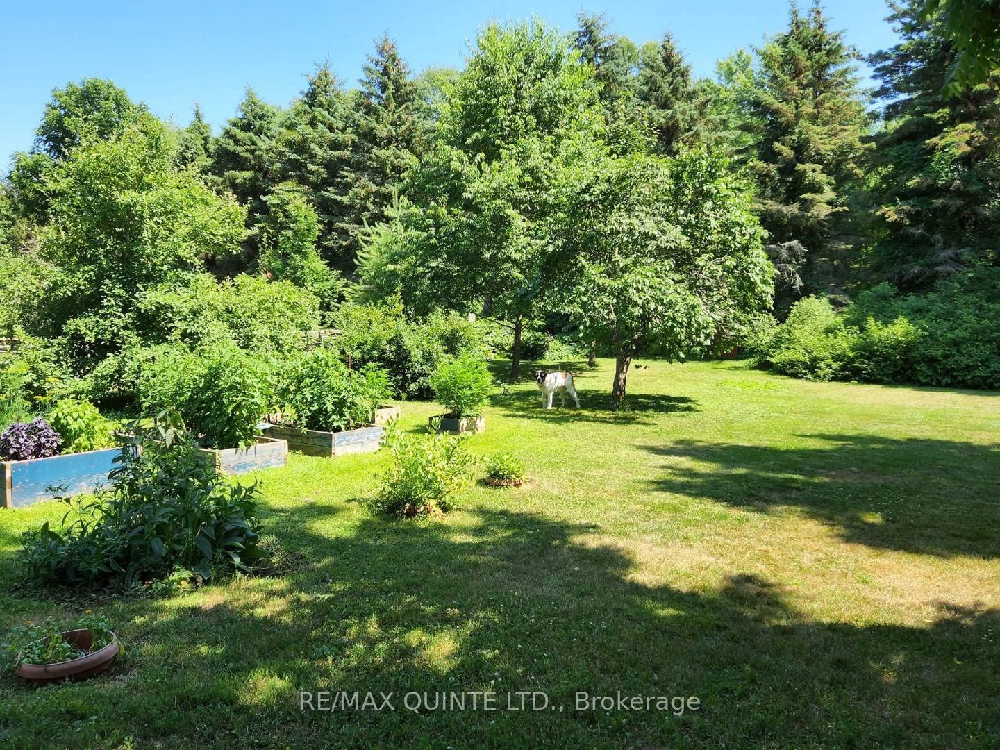 163 Main Street • Prince Edward County, ON photo 34