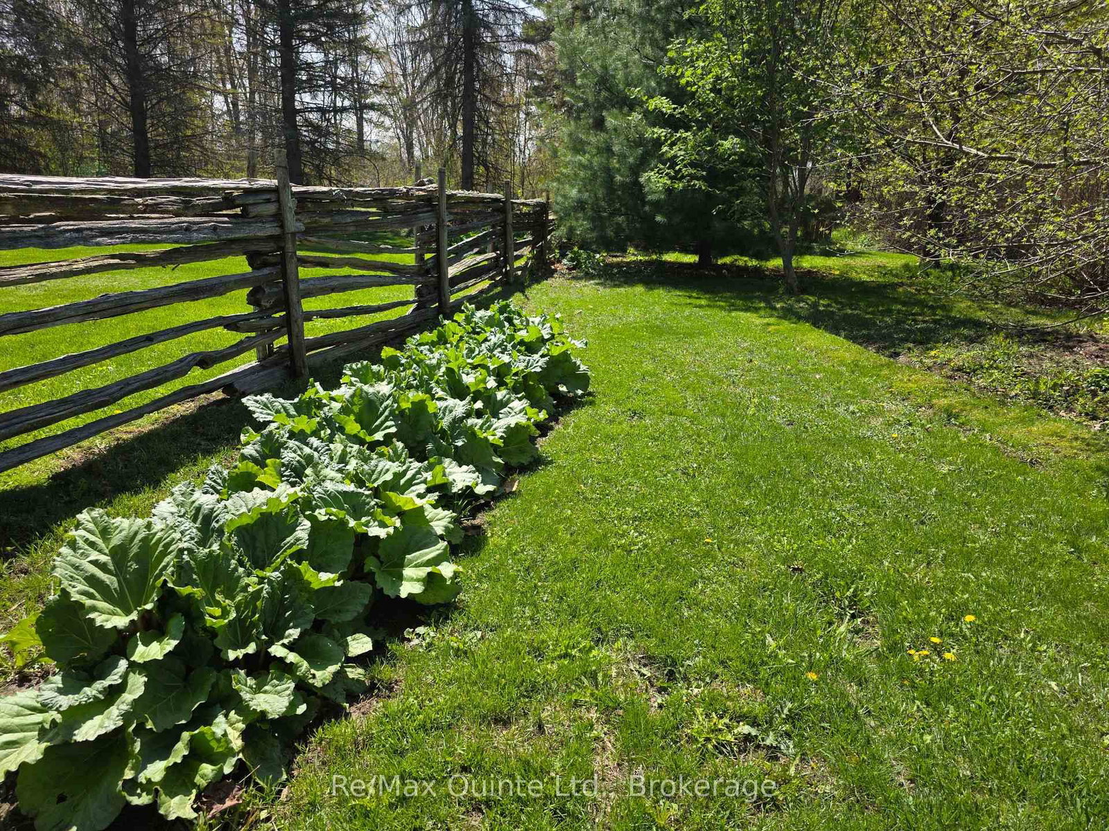 163 Main Street • Prince Edward County, ON photo 37