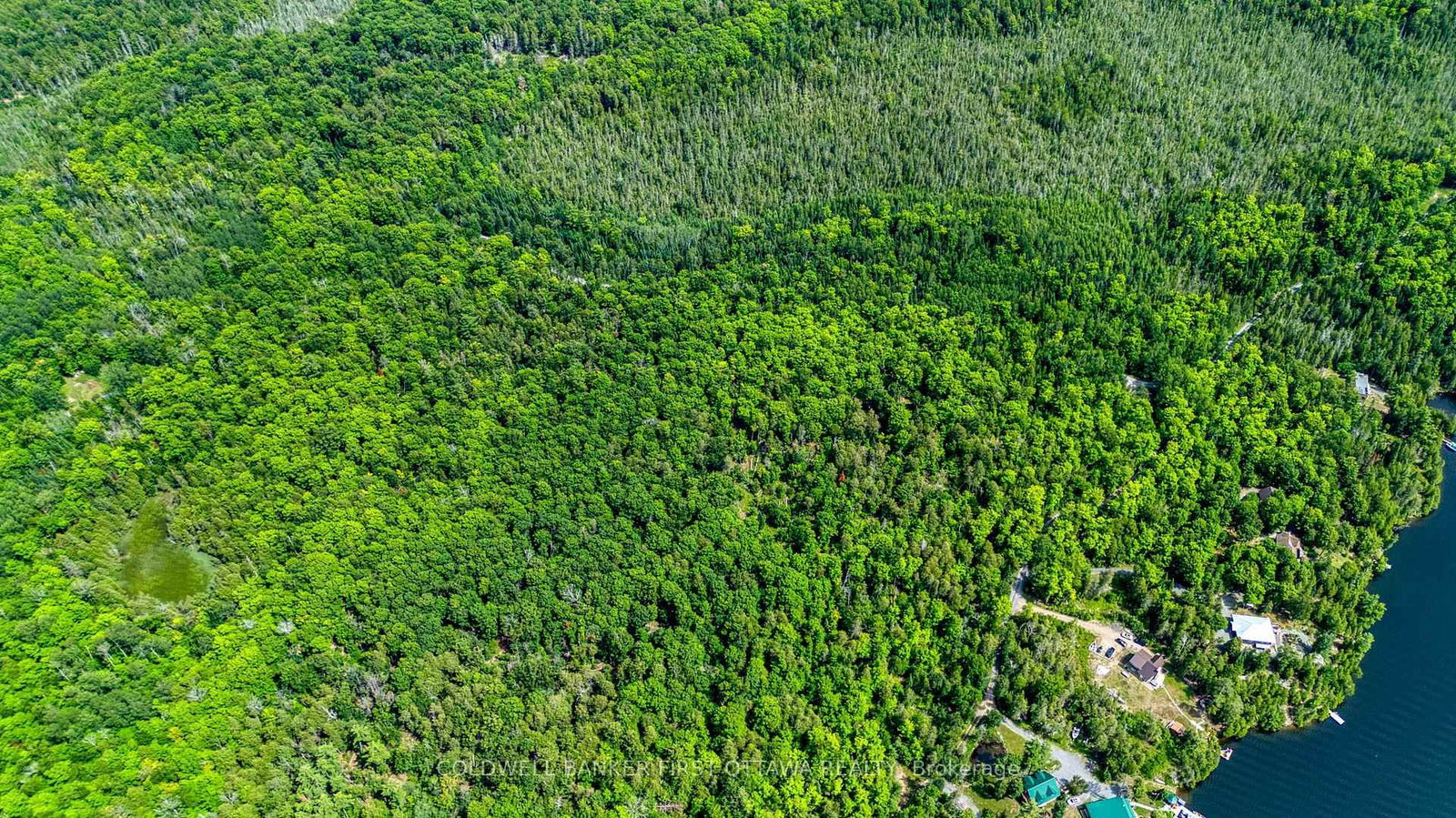 00 Windy Point Road • White Lake, ON photo 6