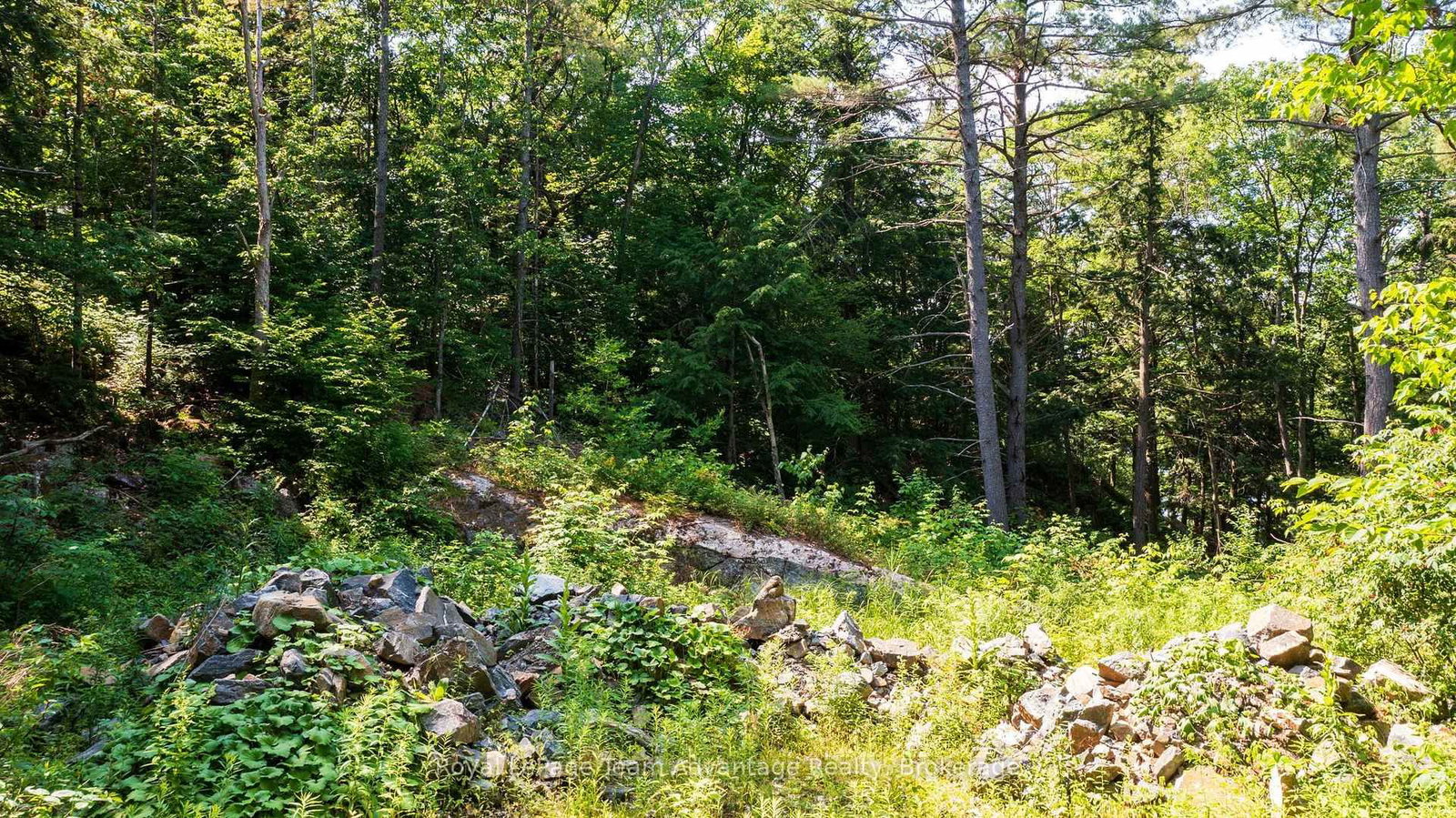 12 PERRAULTS BAY Road • Seguin, ON photo 21