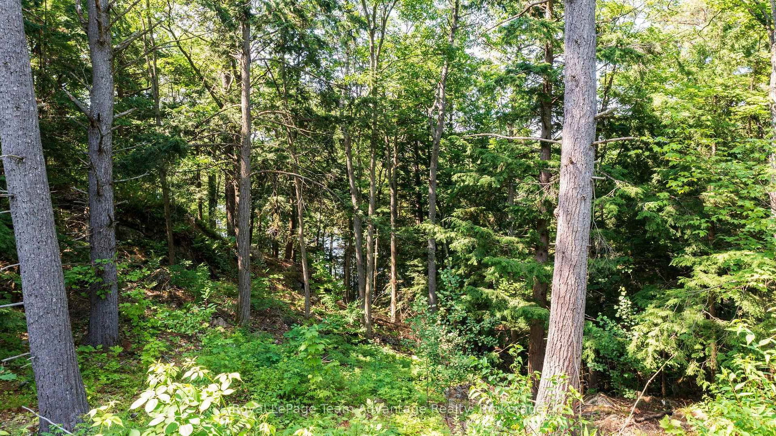 12 PERRAULTS BAY Road • Seguin, ON photo 22