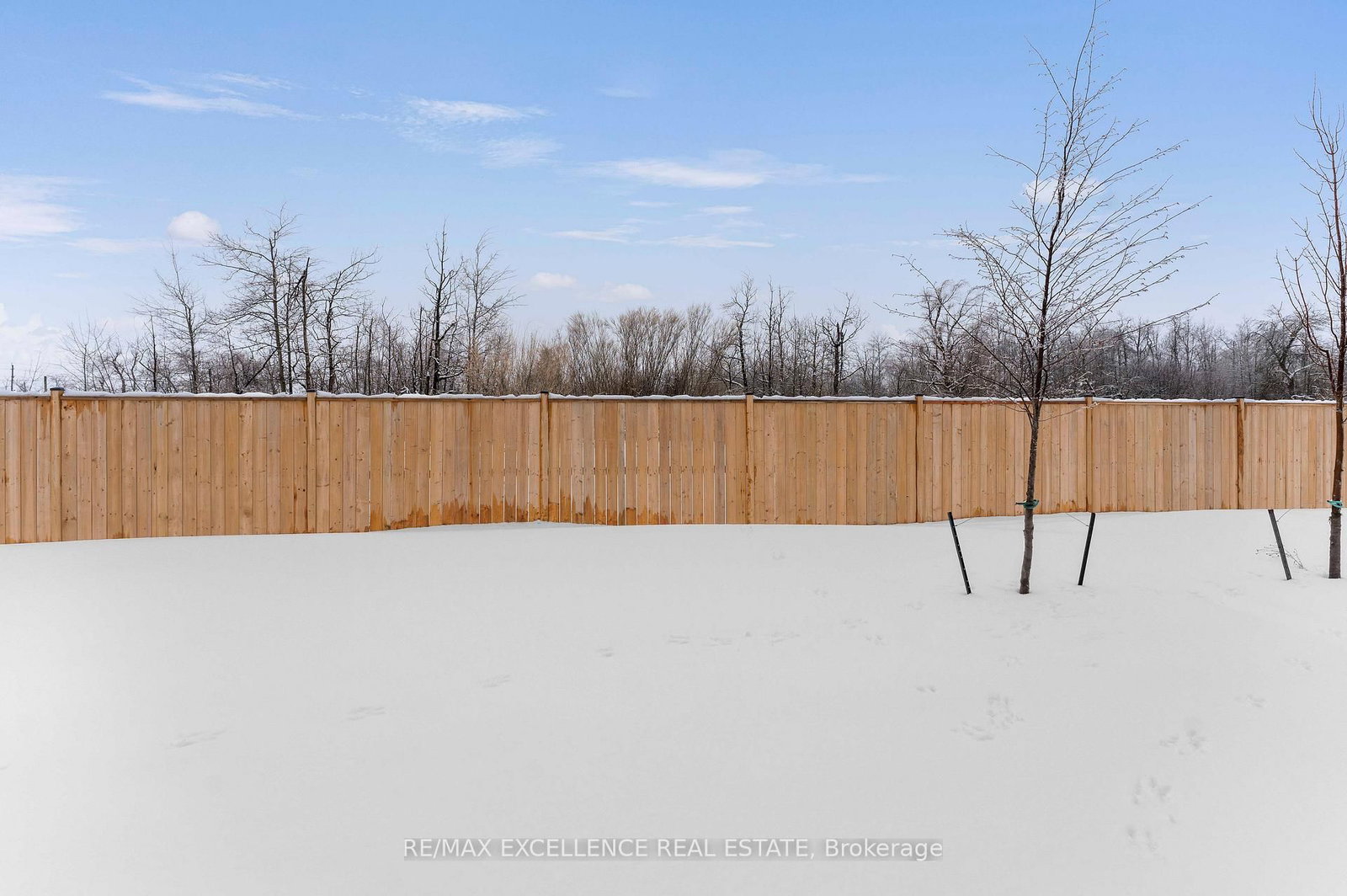 138 Winters Way • Shelburne, ON photo 32