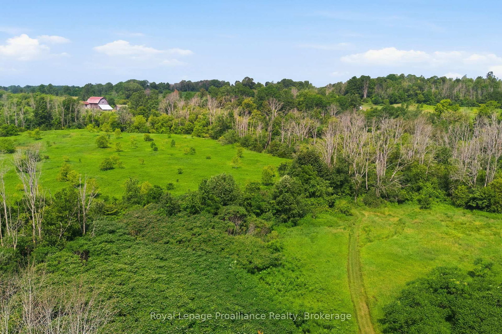 0 Lisgar Street • Brighton, ON photo 14