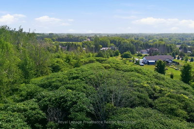 0 Lisgar Street • Brighton, ON photo 8
