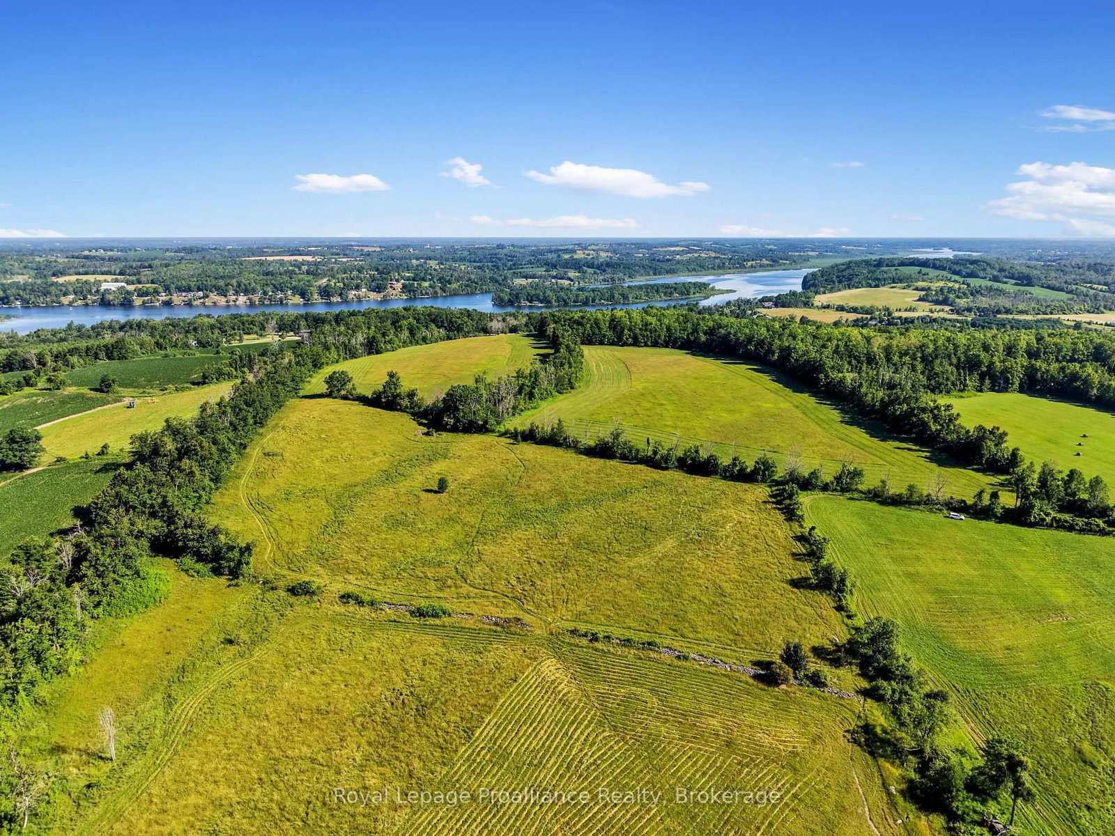 50 Dunlay Road • Trent Hills, ON photo 11