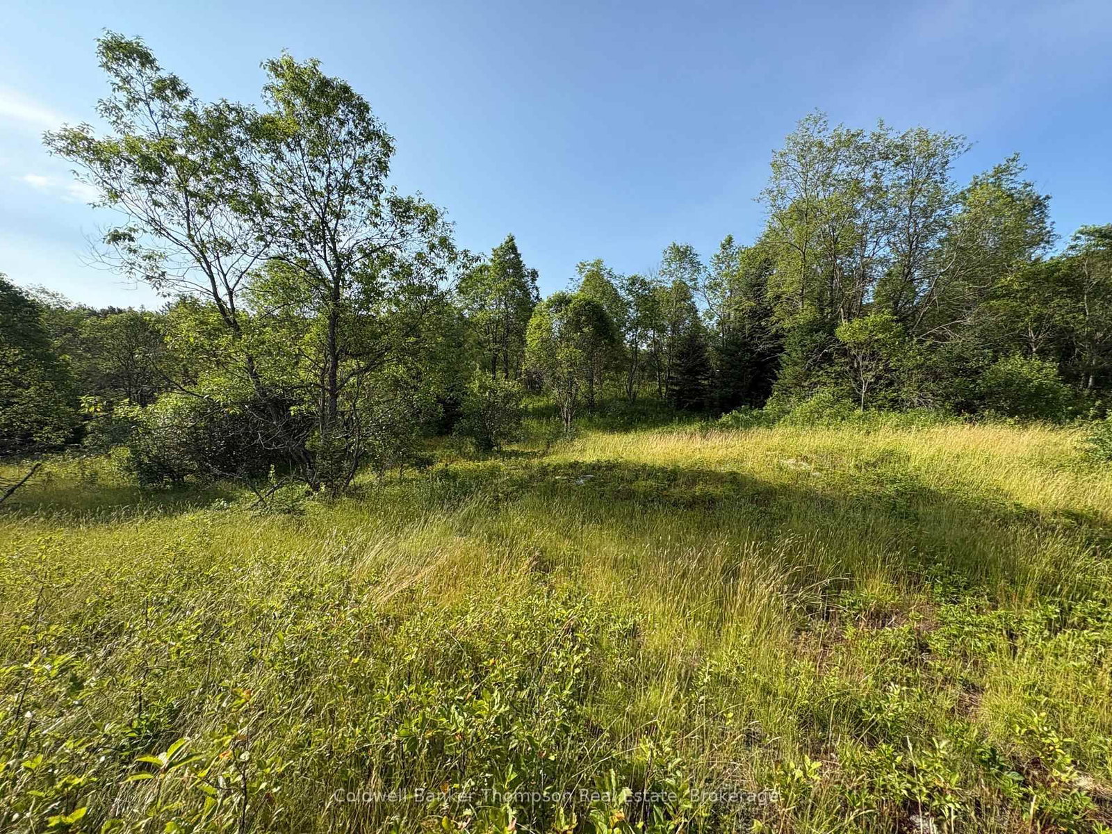 LT 12 N Municipal Road • Machar, ON photo 9