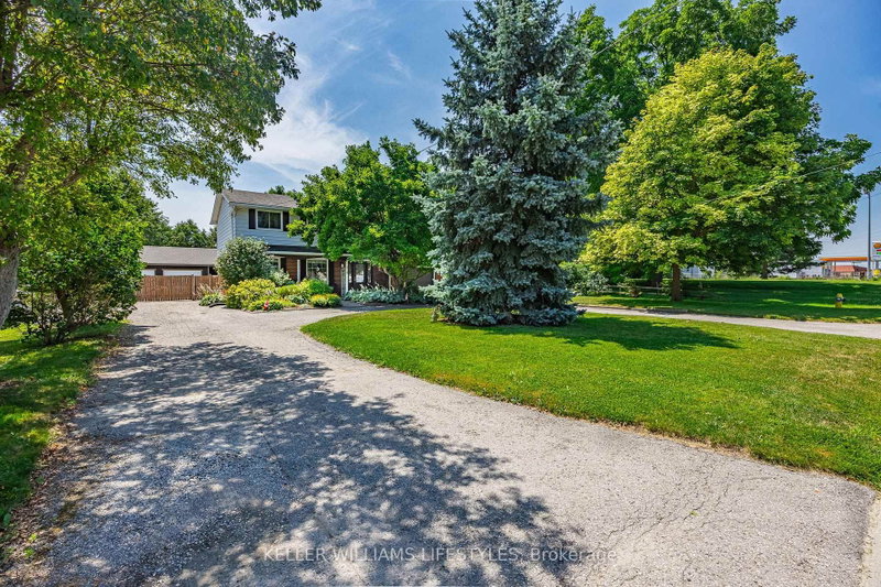 219 Dundas Street W