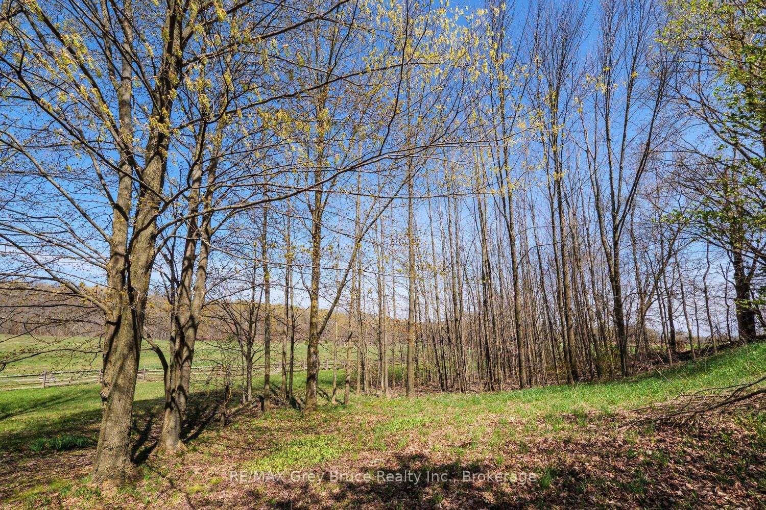130 Crooked Hill Road • South Bruce Peninsula, ON photo 38