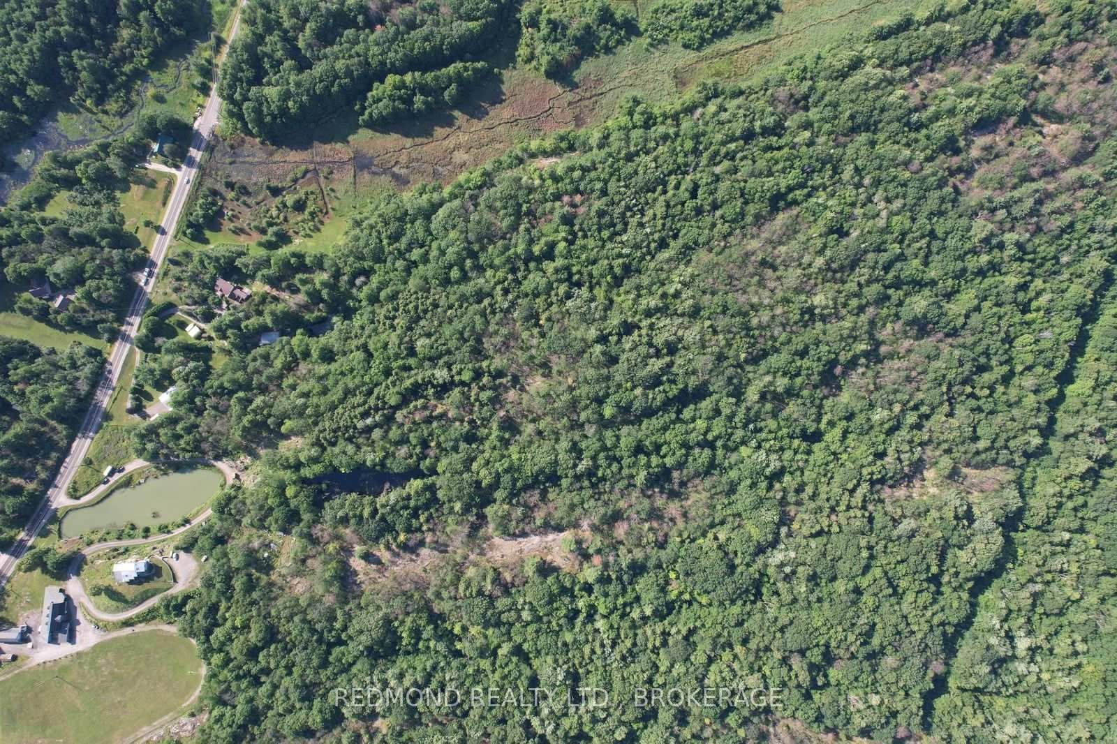 151B County Rd 5 Road • Front of Yonge, ON photo 3