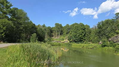 151B County Rd 5 Road • Front of Yonge, ON photo 9