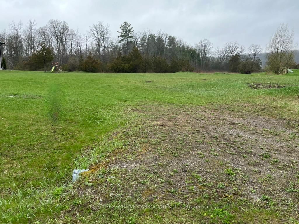 594 Percy Boom Road • Trent Hills, ON photo 5