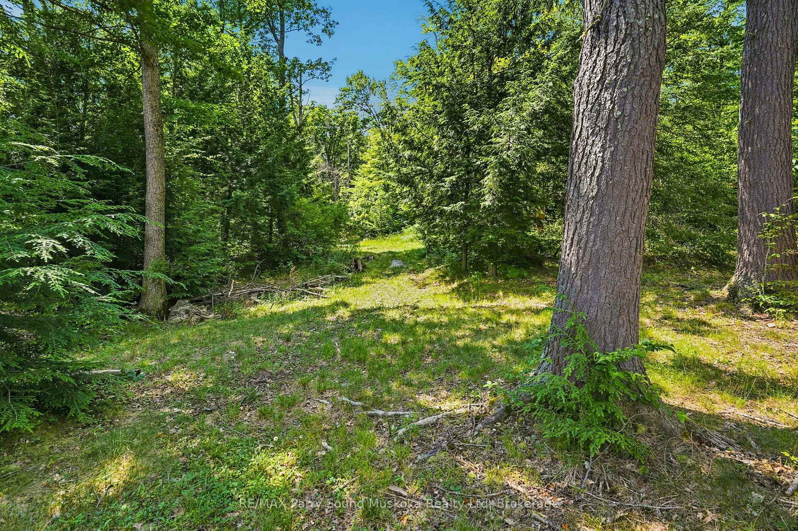 24 South Crane Lake Road • The Archipelago, ON photo 32