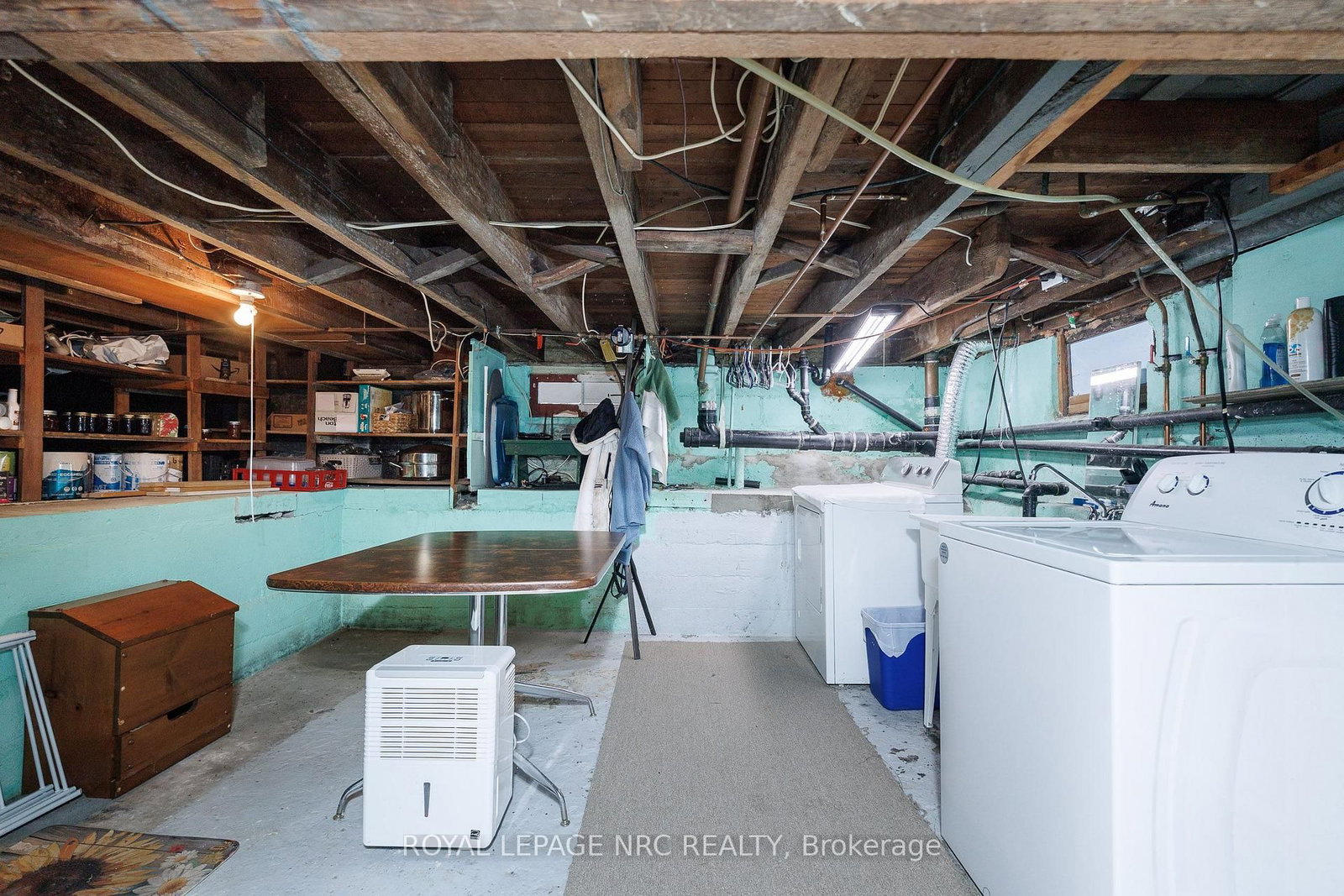 294 Davis Street • Port Colborne, ON photo 38