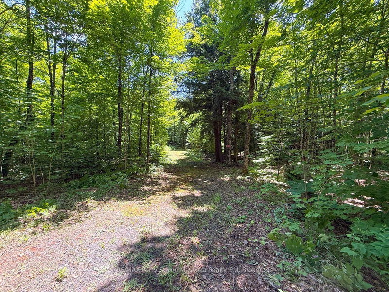 17 White Beaver Tr photo 2