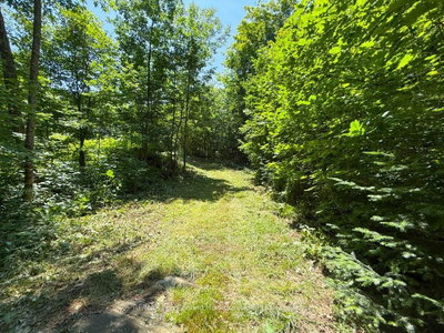 17 White Beaver Trail • McDougall, ON photo 2