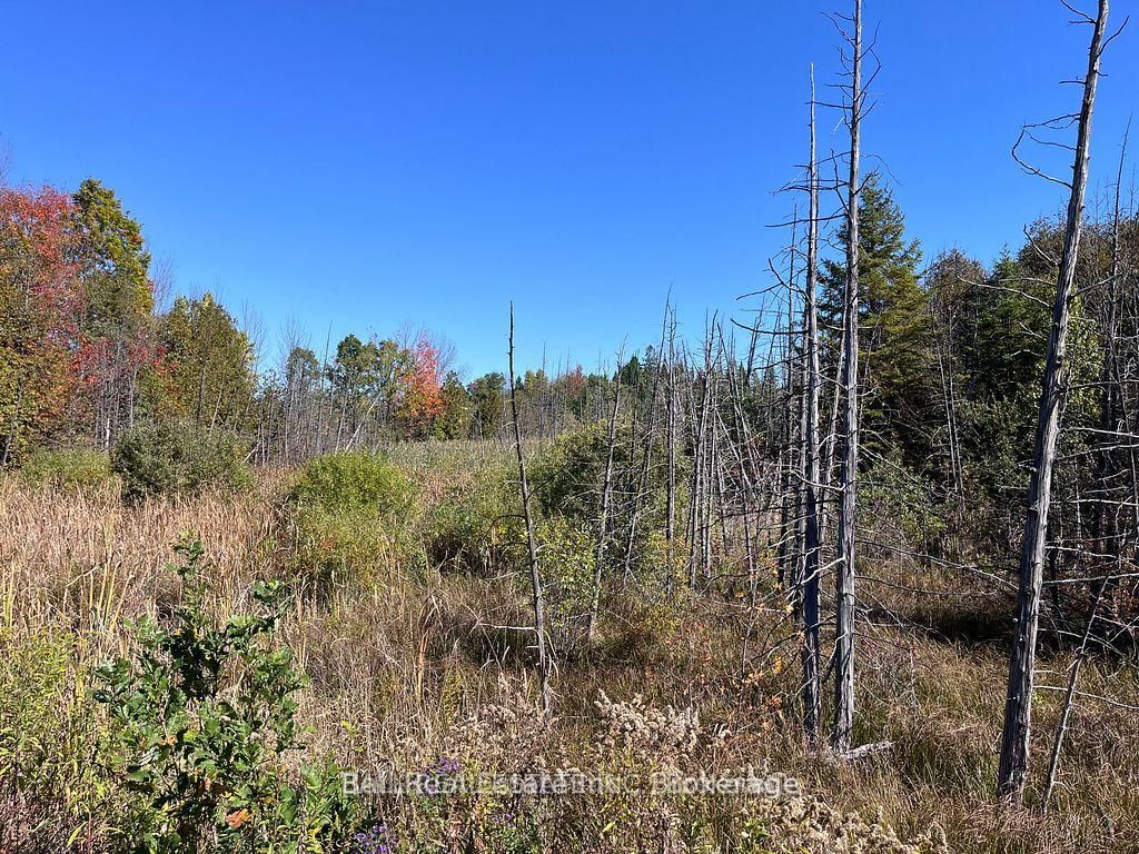 00 KOA Road • Limoges, ON photo 2