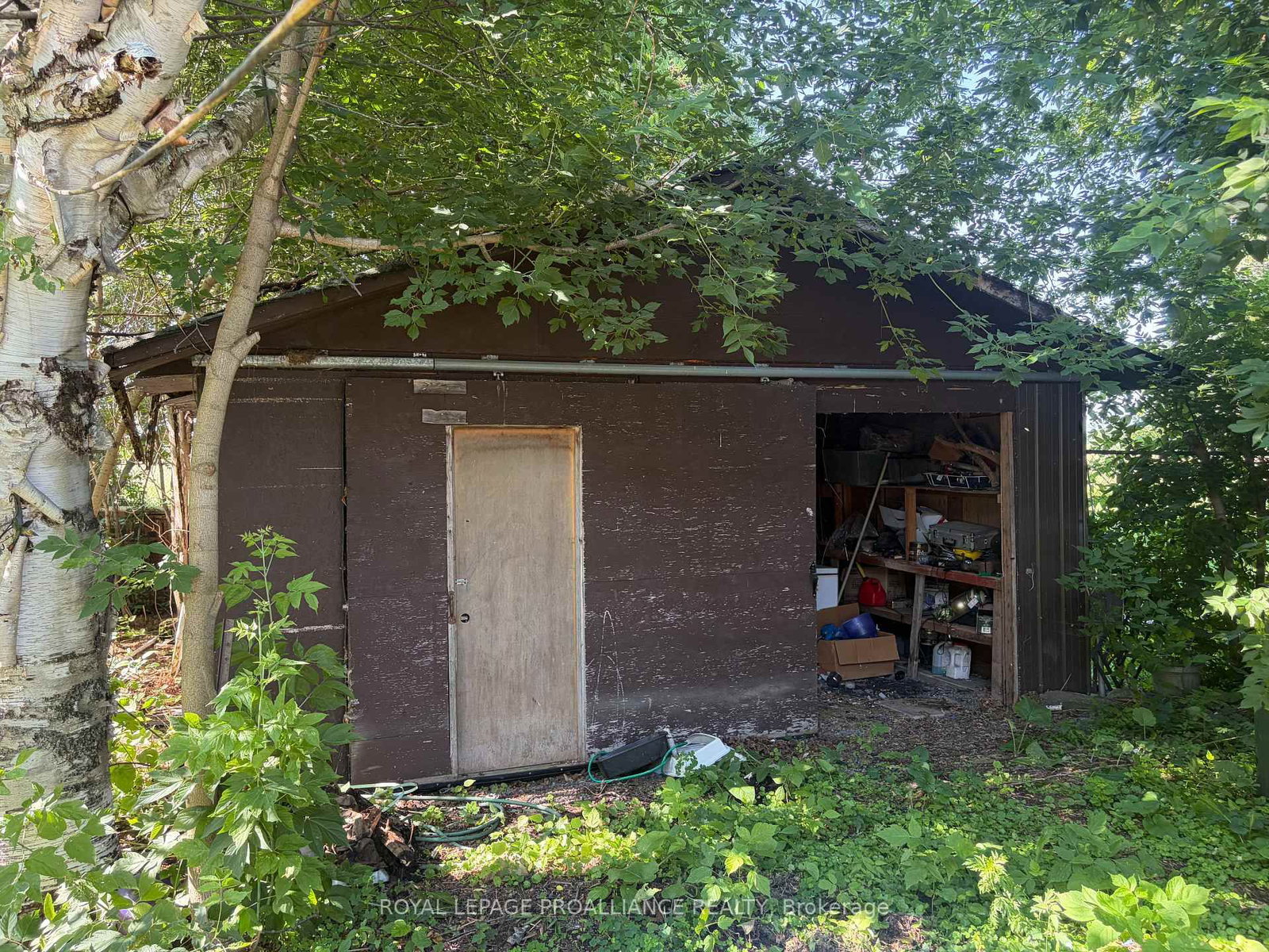15650 County 43 Road • North Stormont, ON photo 15