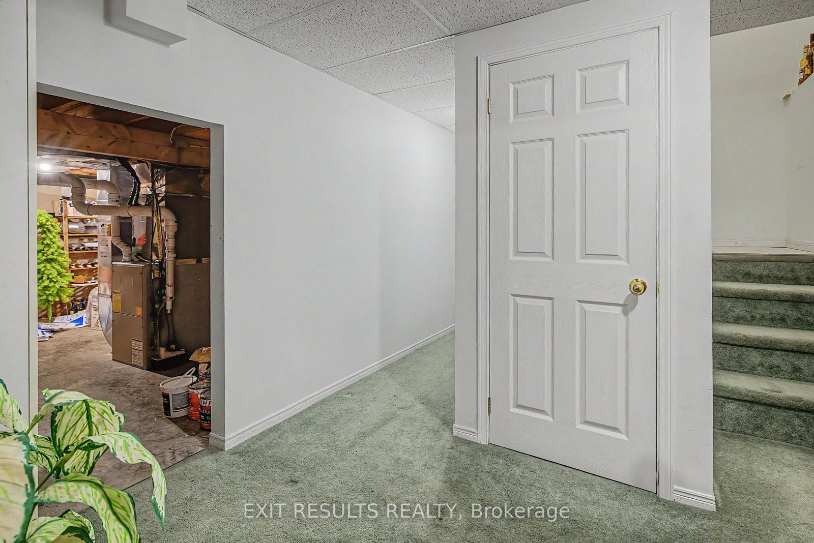 51 Elizabeth Street • Wolfe Island, ON photo 24
