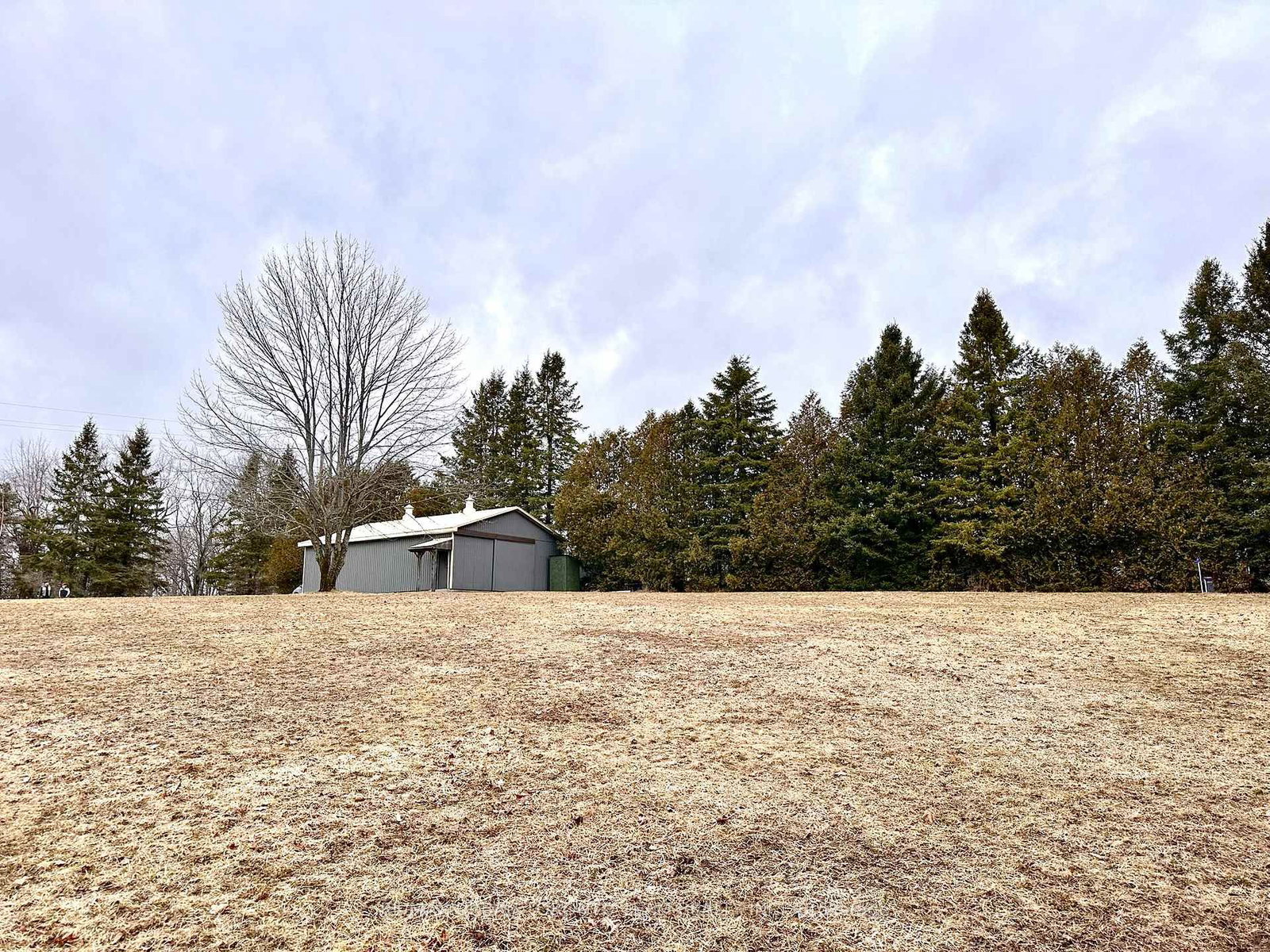 414 NORTH LINE Road • Kawartha Lakes, ON photo 3