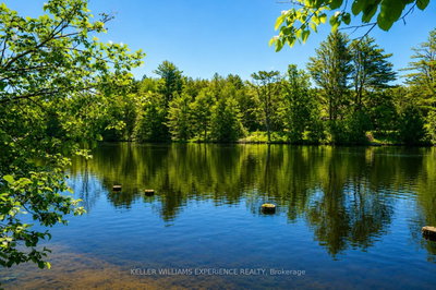 203 Santas Village Road • Bracebridge, ON photo 4