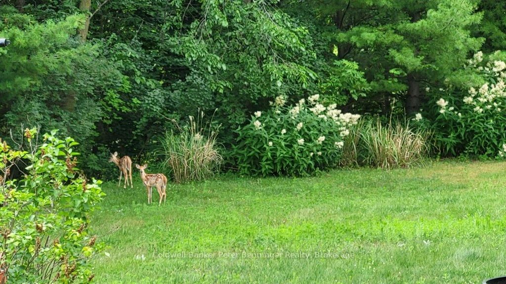 24 Mullen Drive • Brockton, ON photo 35
