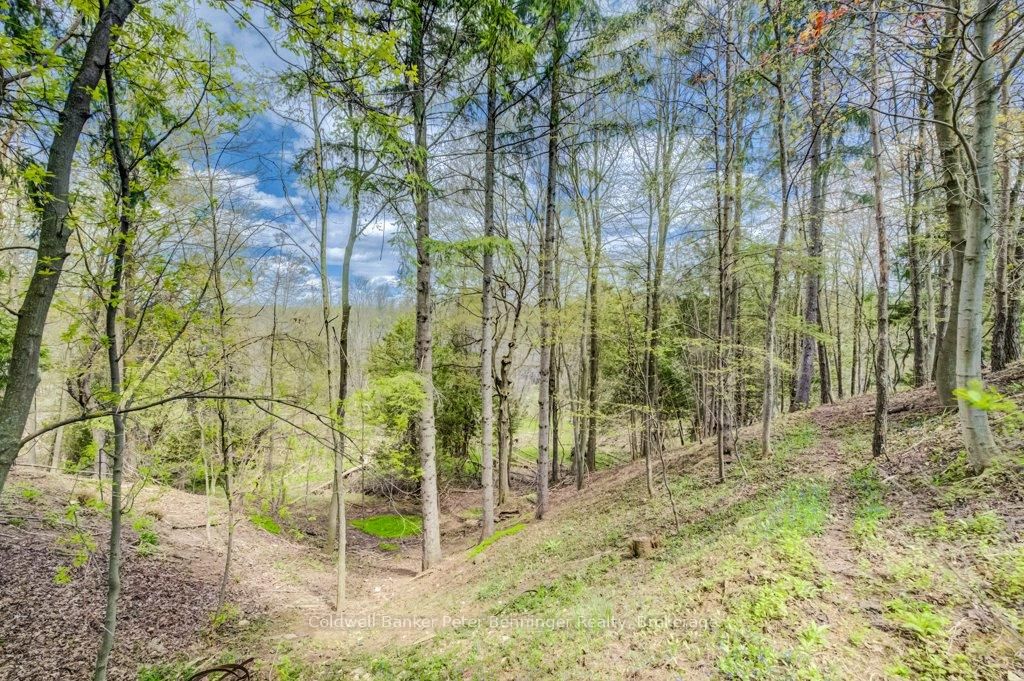 24 Mullen Drive • Brockton, ON photo 36